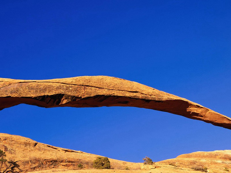 “矮人国”的矮人-各色的奇人