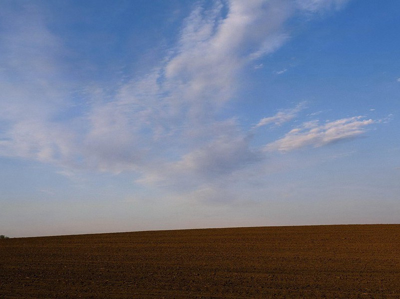 蓝血人-各色的奇人