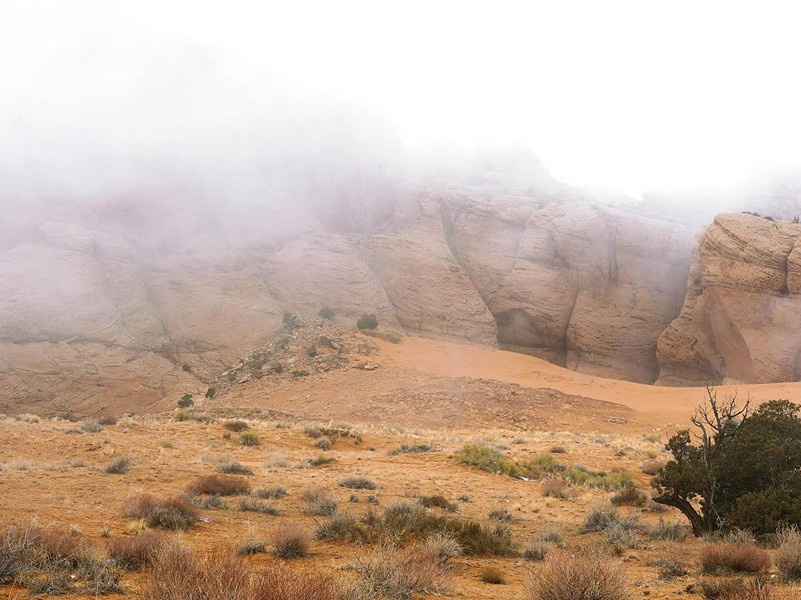 长尾巴的人-各色的奇人