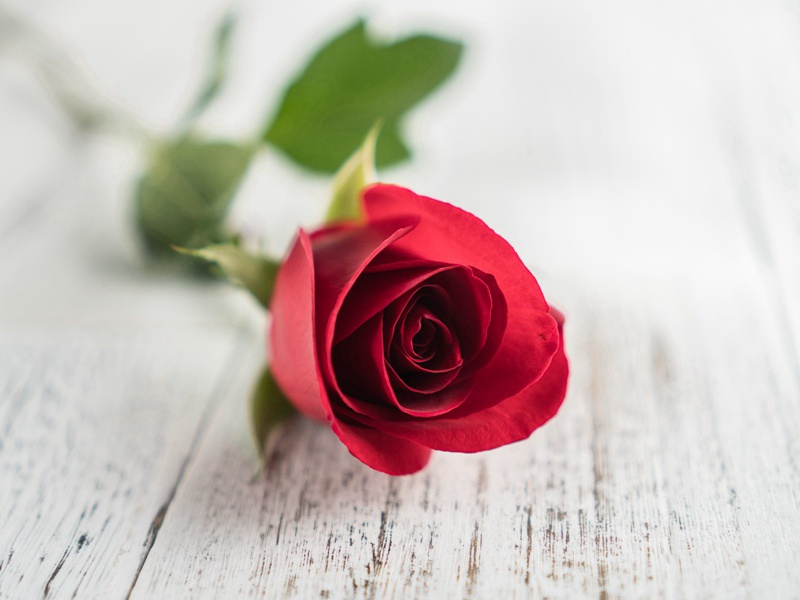 溺水20分钟不死-各色的奇人