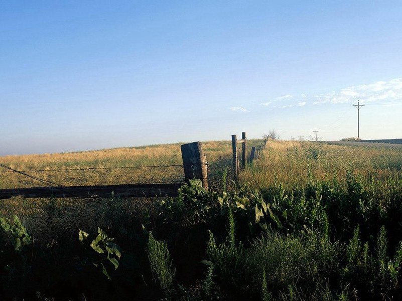 全球说话最快的人-各色的奇人