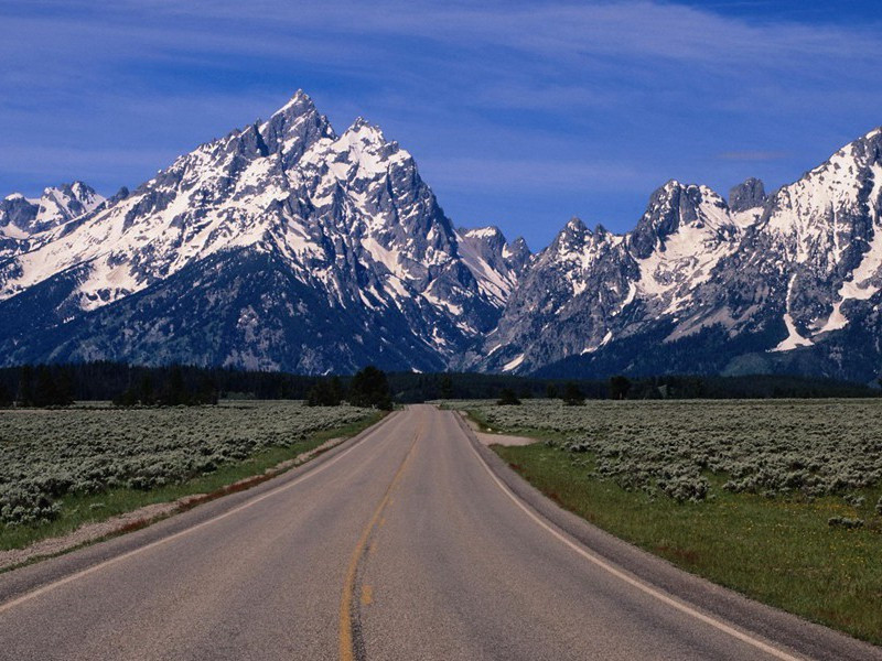 背头人-各色的奇人