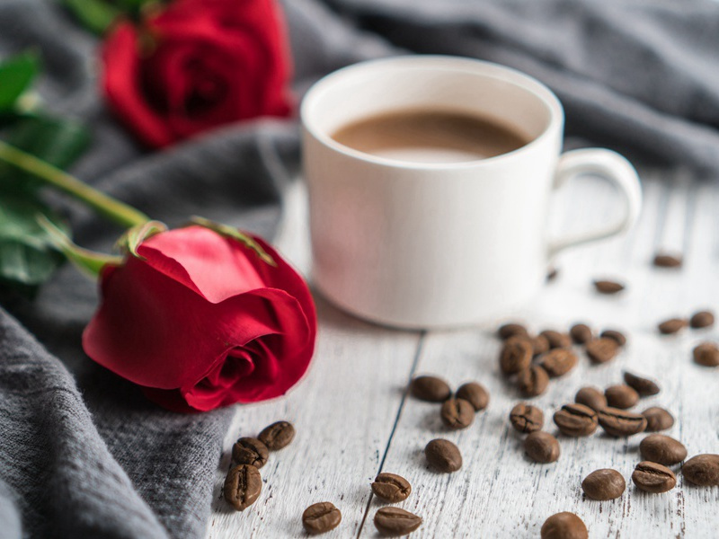 生育最多的妇女-各色的奇人