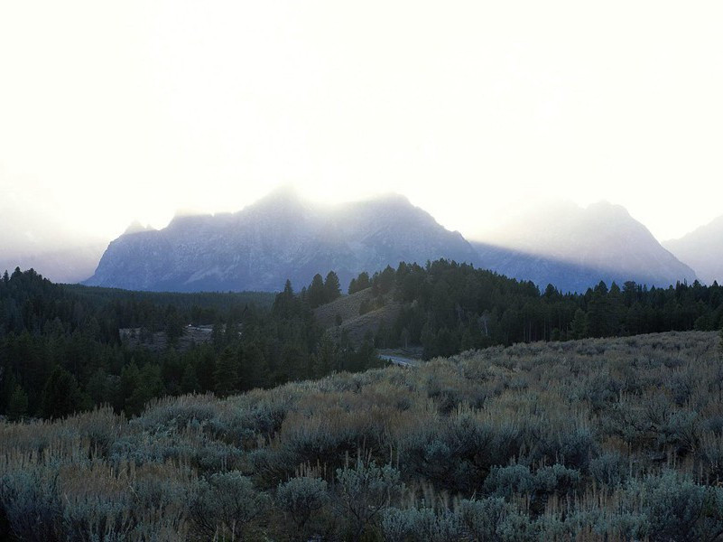 有固氮本领的人-各色的奇人