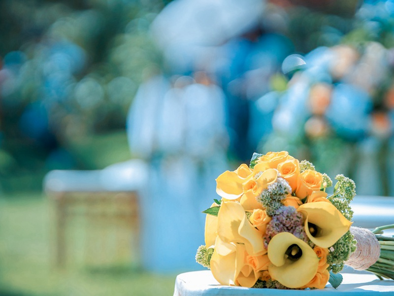 只维持两小时的婚姻-各色的奇人