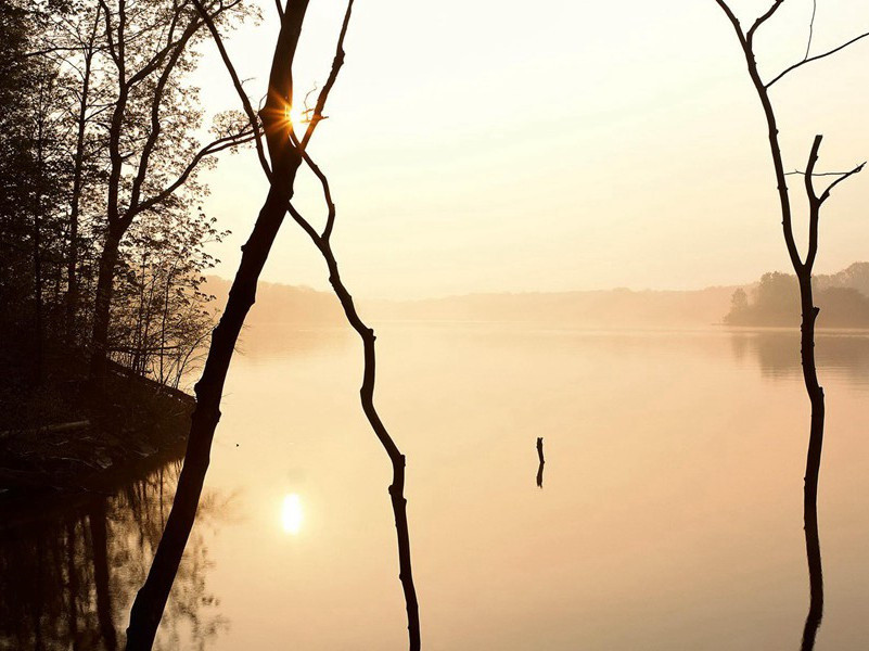 狼孩-各色的奇人