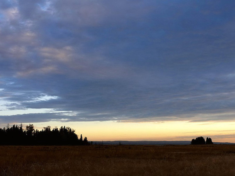 熊孩-各色的奇人