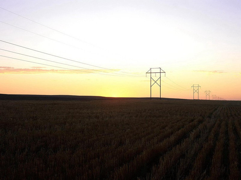 猴孩-各色的奇人