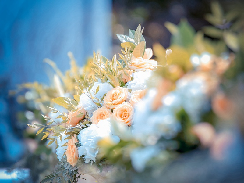 羊孩-各色的奇人