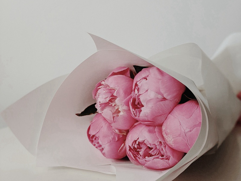 心脏有内分泌功能-人类奇闻怪事