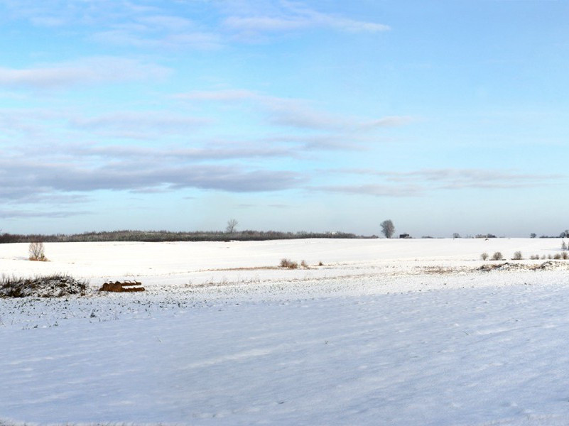 声音鉴别出凶犯-人类奇闻怪事