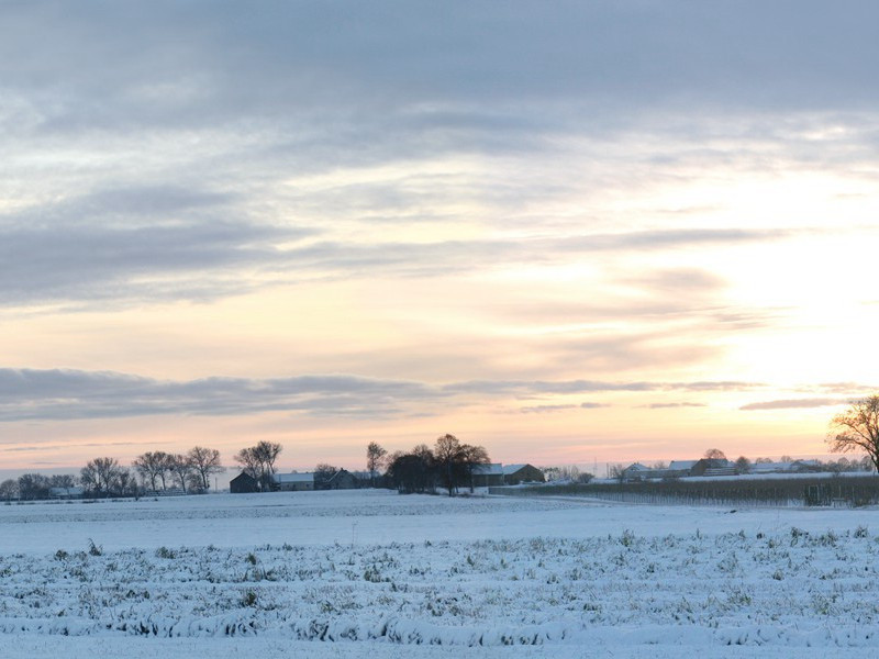血纹证明你的独特身分-人类奇闻怪事