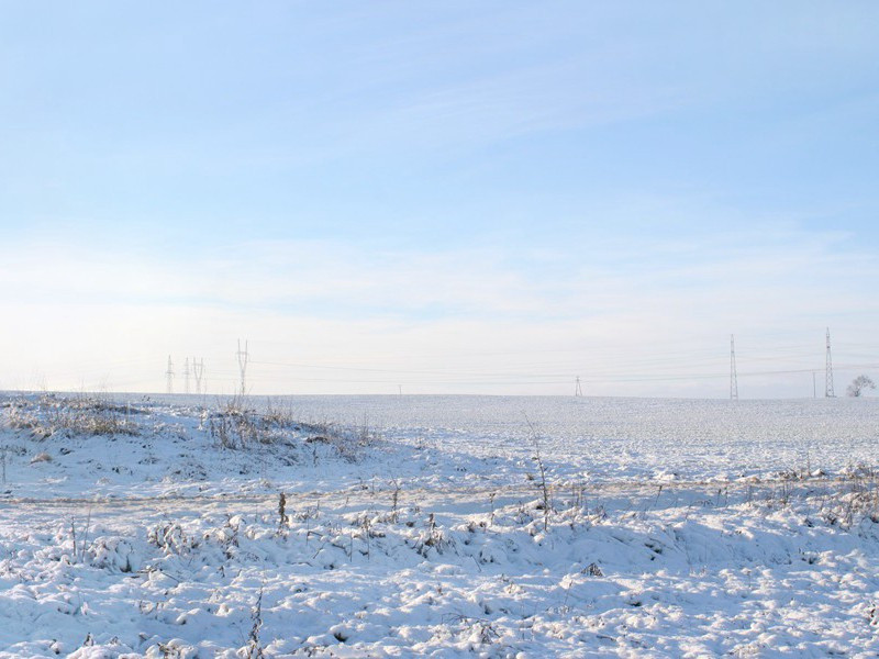 梦境是真-人类奇闻怪事