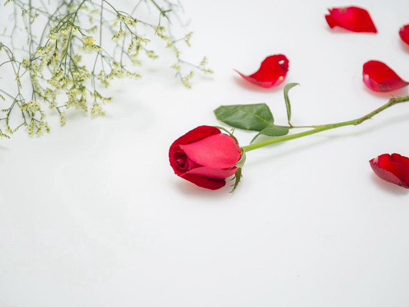 冰冻给生命增添活力-人类奇闻怪事