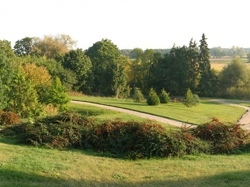 少女再生之谜-人类奇闻怪事