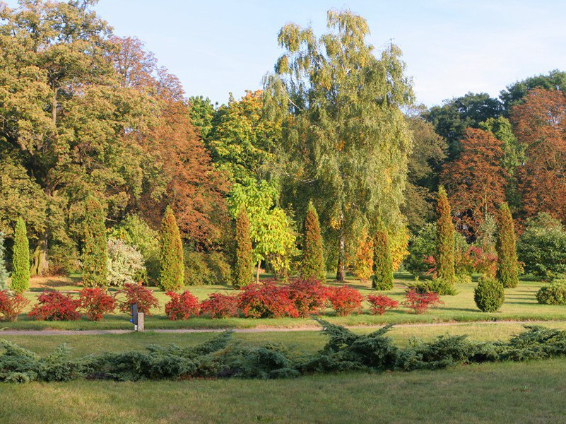 预感-人类奇闻怪事