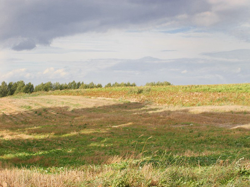 神奇的光电现象-人类奇闻怪事