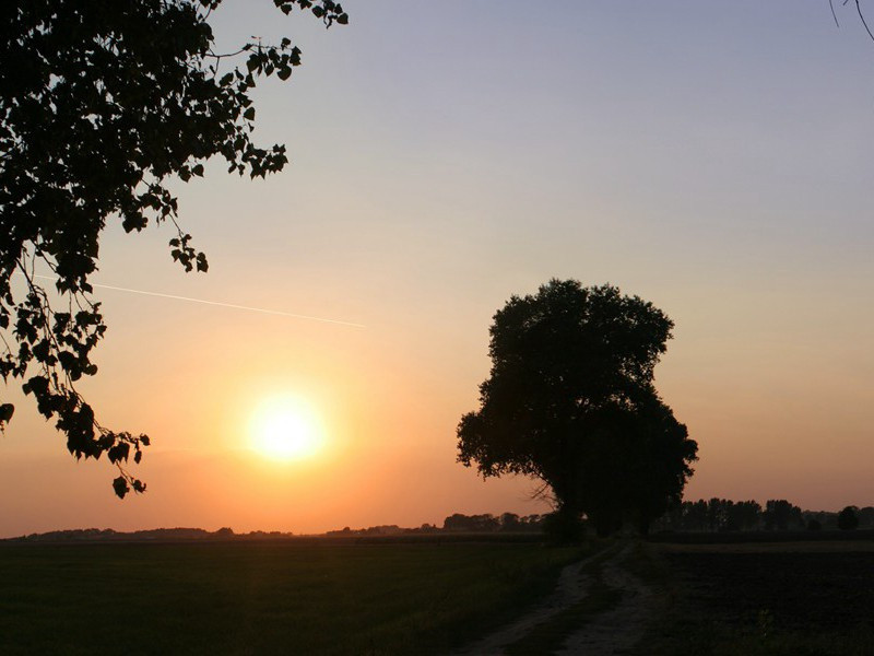 临终奇遇-人类奇闻怪事