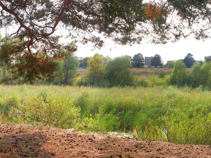 指定认字-人类奇闻怪事