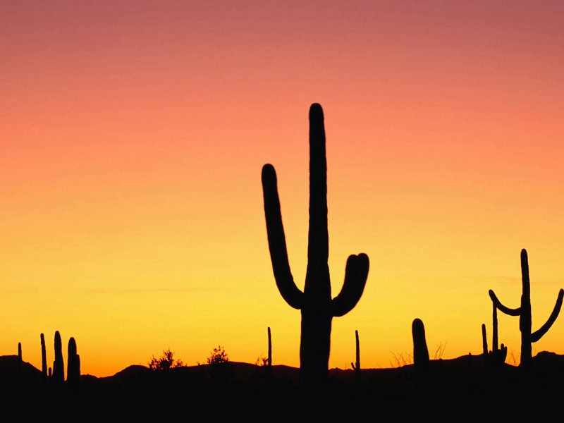 脑子里-人类奇闻怪事