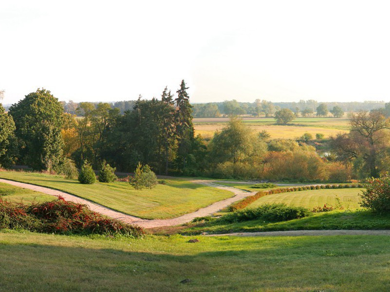 行思维传感-人类奇闻怪事