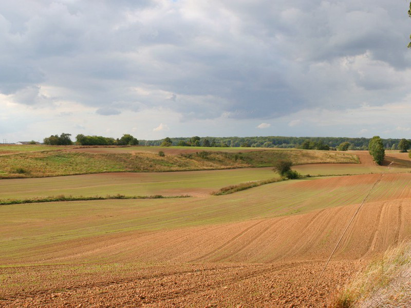 意念致动-人类奇闻怪事