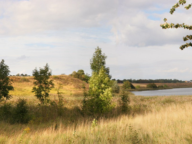 色彩与性格-人类奇闻怪事