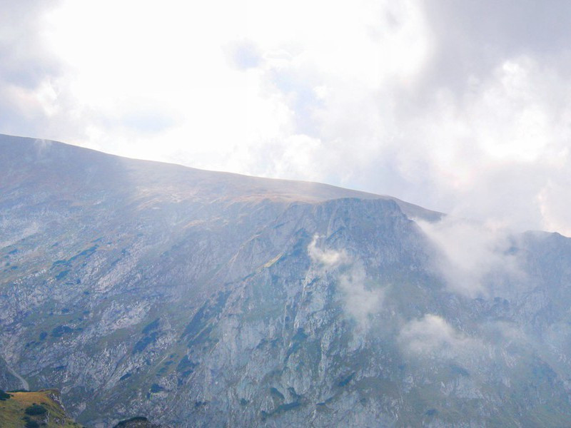 豹孩-人类奇闻怪事