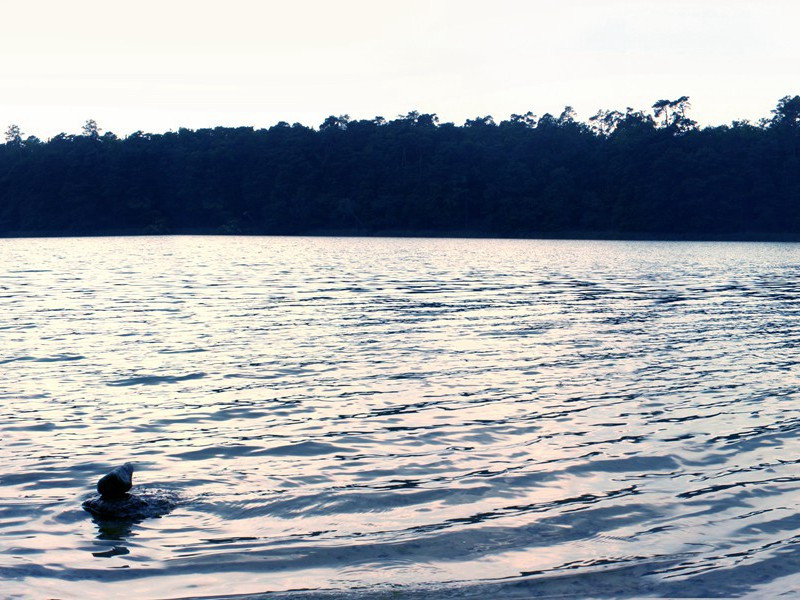 说话不止的女人-谎诞的女性