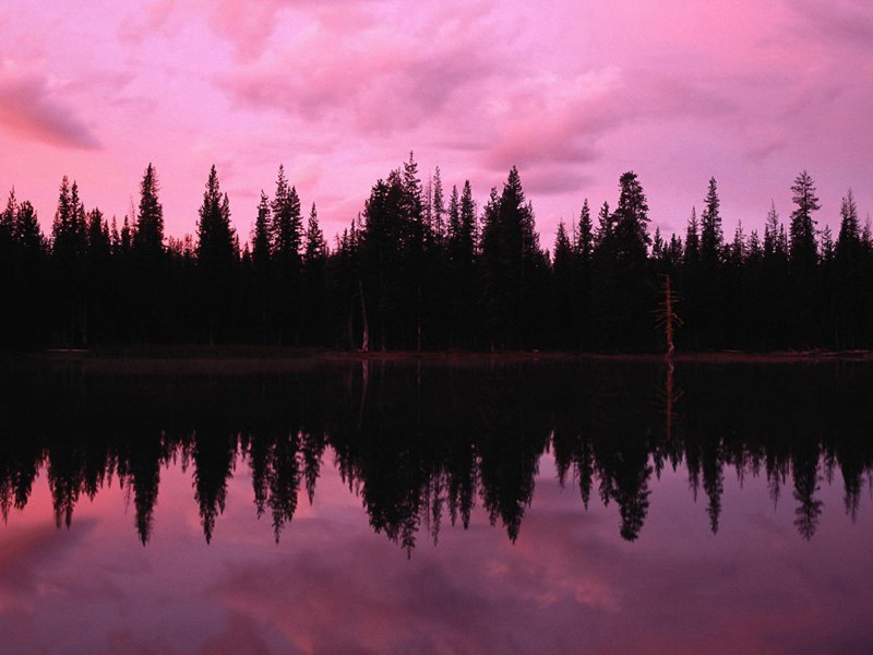 老祖母貌似大姑娘-谎诞的女性