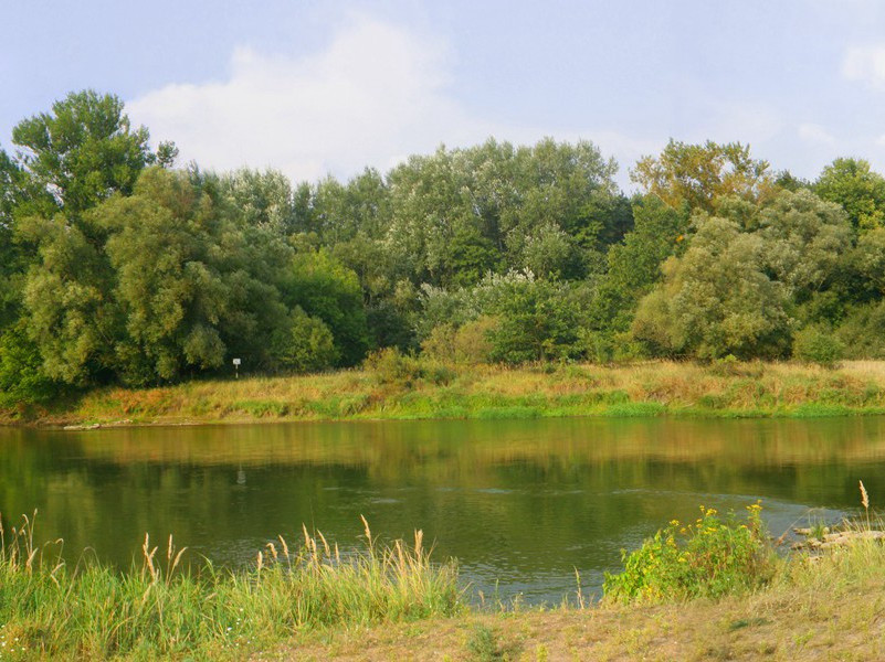 55岁妇女长出两只新乳房-谎诞的女性