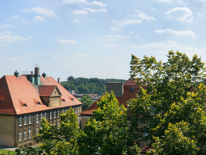 罕见的两性人-谎诞的女性