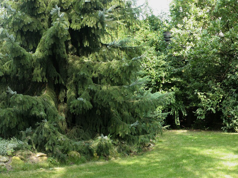 眼睛上下排列的女人-谎诞的女性