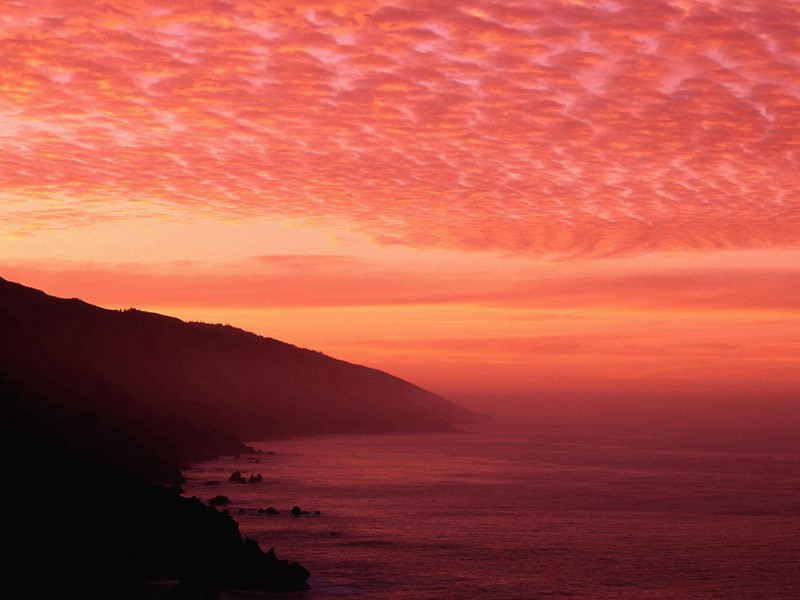 大肥婆-谎诞的女性