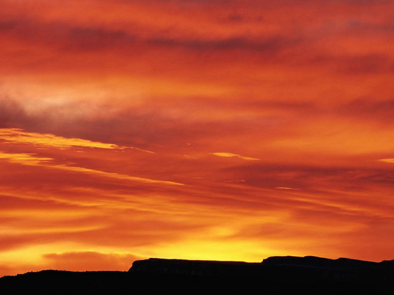 巾帼巨人-谎诞的女性