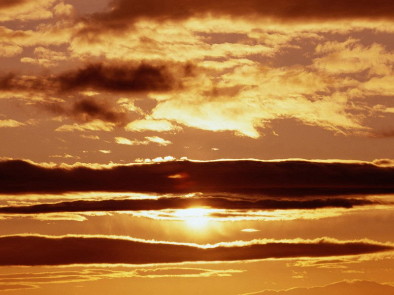 老妪生石卵-谎诞的女性