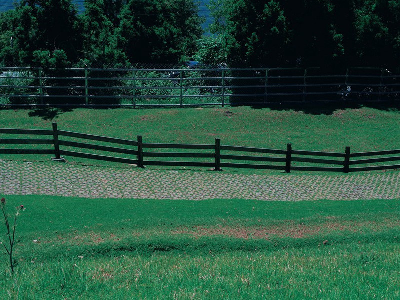 变性人生孩子-谎诞的女性