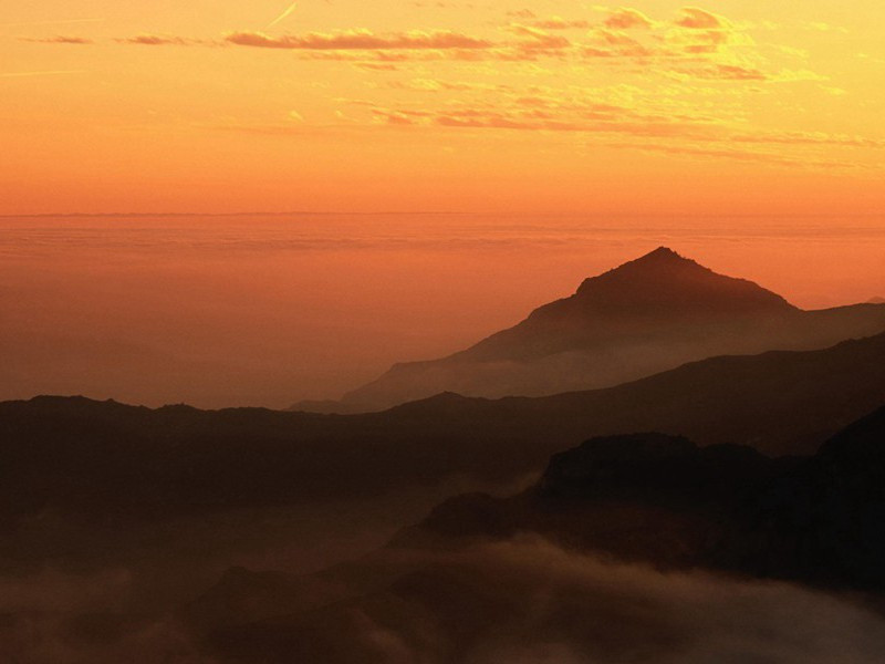 一个生双胞胎的家族-谎诞的女性