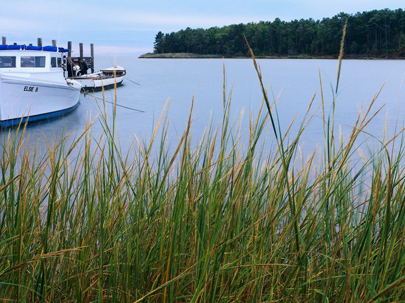 双子宫产两婴-谎诞的女性