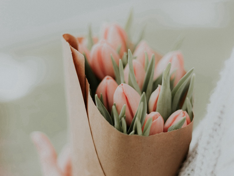 自己开胸的伯爵夫人-谎诞的女性