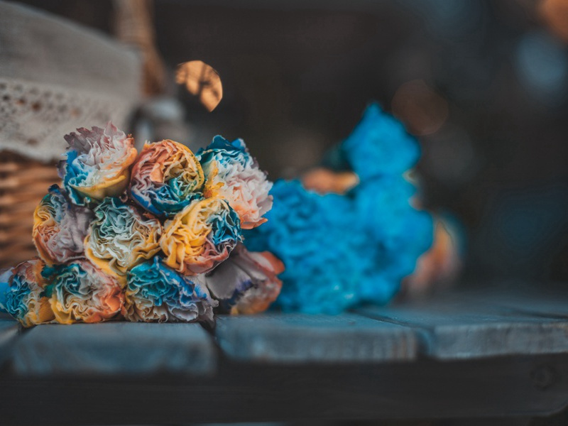 失足遭狮咬装死保性命-谎诞的女性